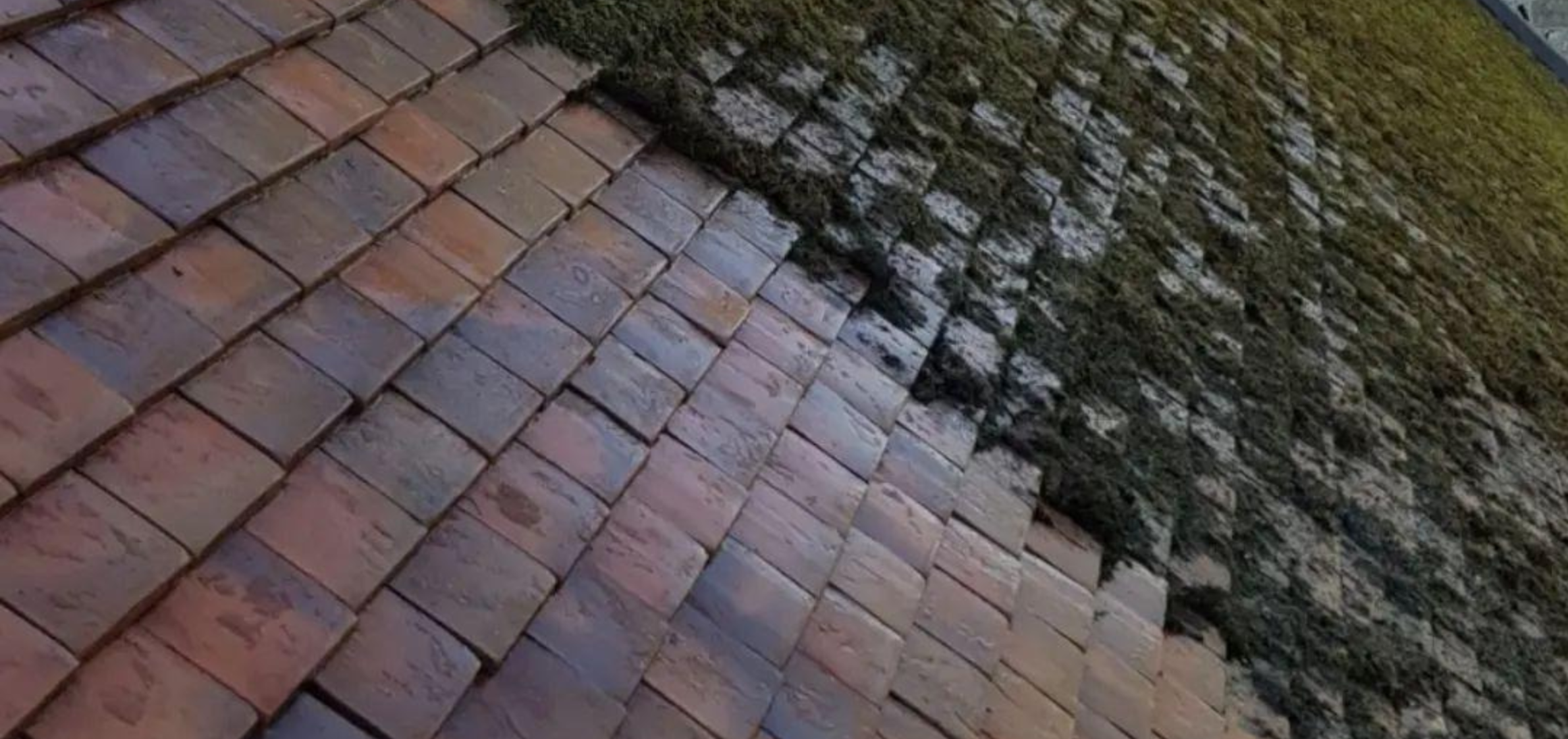 UK roof tiles with moss algae and staining buildup